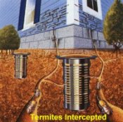 Interception of Termites